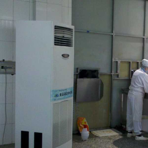 芜湖食品正负离子空气杀菌器